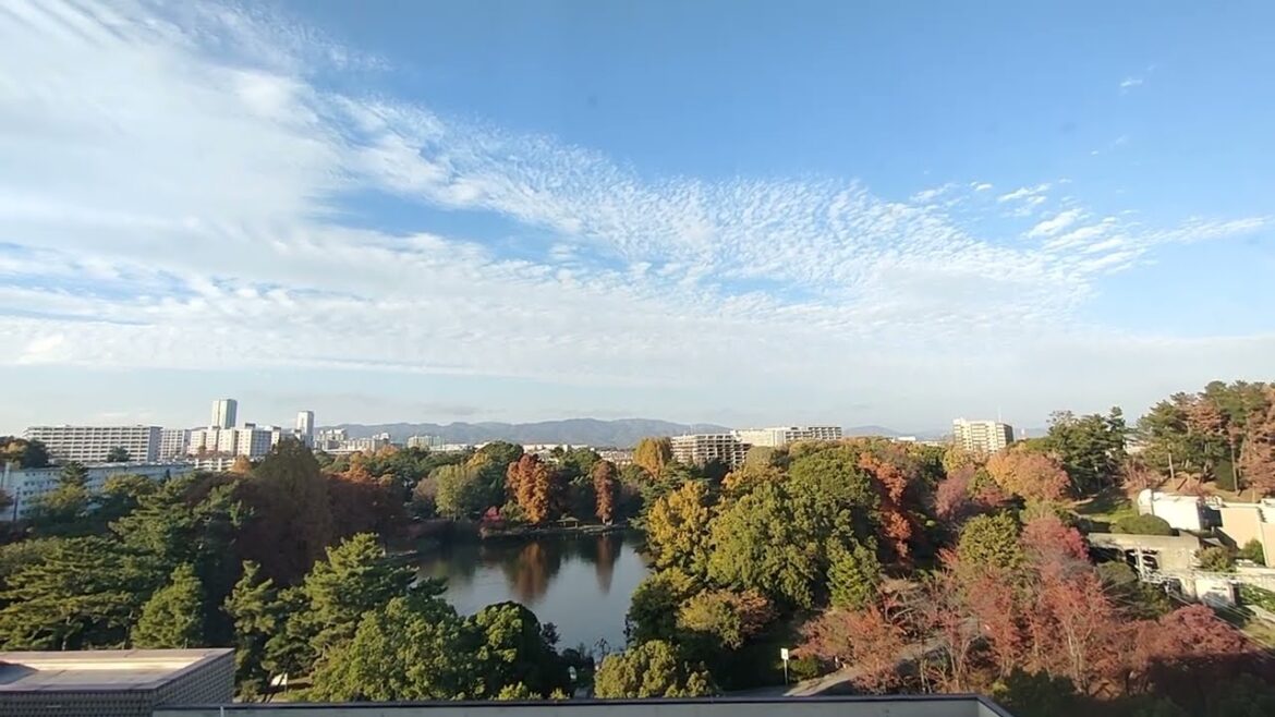 Konichiwa, Kawaii, Nihon go, Japan City Park, so beautiful #travel #foryou #traveling
