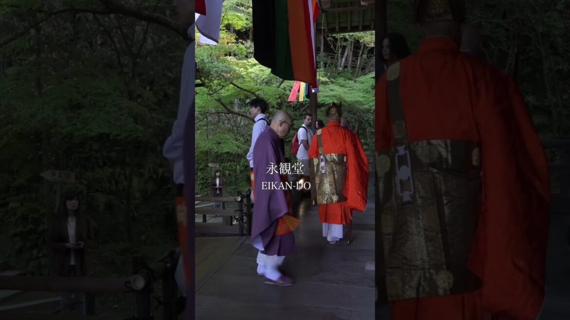 【kyoto japanese garden】永観堂【京都の庭園】