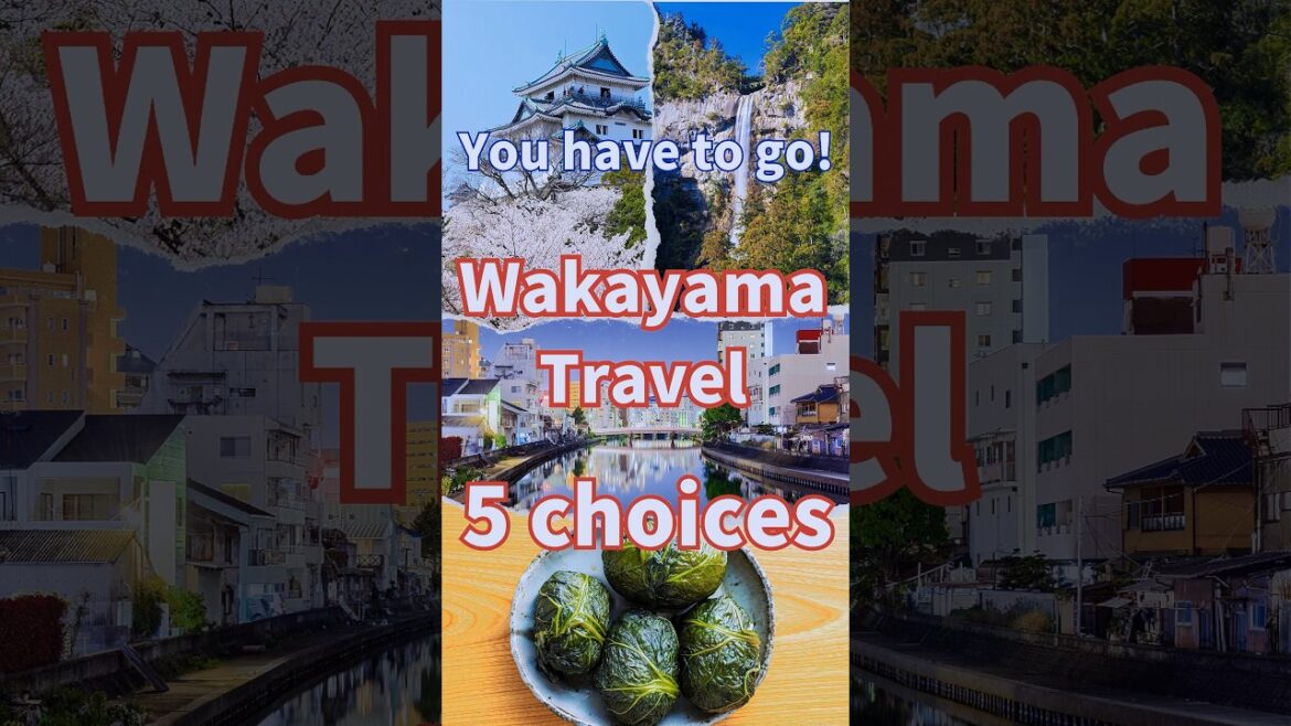 Travel in Wakayama Prefecture , Japan Must-see Sightseeing in Wakayama Prefecture #shorts Travel in Wakayama Prefecture , Japan Must-see Sightseeing in Wakayama Prefecture #shorts