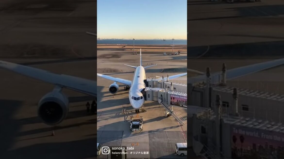 東京から沖縄✈︎私が右の窓側に座る理由