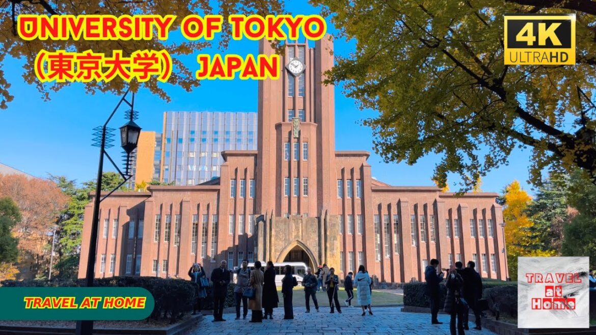 4k hdr japan travel | Autumn Walk in The University of Tokyo（東京大学） |  The best university in Asia