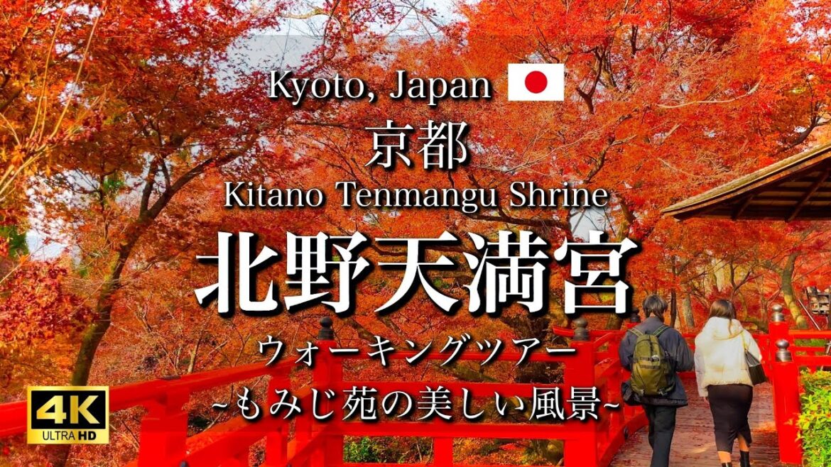 Autumn Leaves at Kitano Tenmangu Shrine in Kyoto, Japan | Beautiful Forest Scenery [4K]