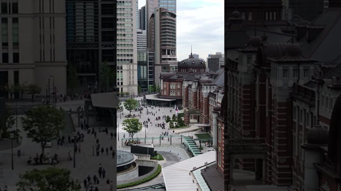 Travel Video - 8 Best Places To Take Pictures In Tokyo | Tokyo Travel (Part 1) #travel #tokyo