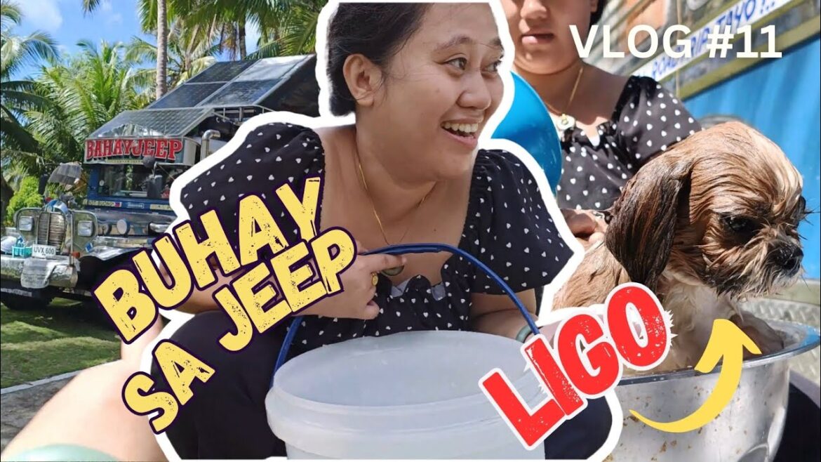 7 MONTHS FULL TIME NOMADS BAHAY JEEP VLOG 11 | ALPHA’S PERSPECTIVE 7 MONTHS FULL TIME NOMADS BAHAY JEEP VLOG 11 | ALPHA'S PERSPECTIVE