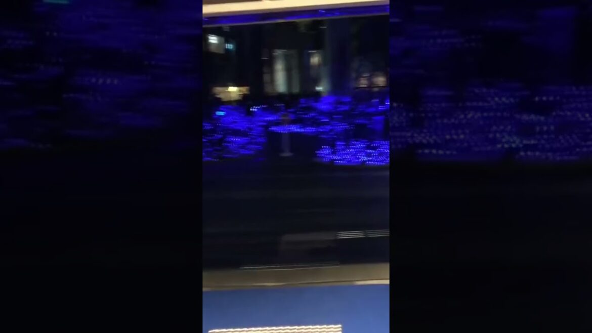 WINTER ILLUMINATIONS in TOKYO #tokyo #japan #japanese #illumination #winter