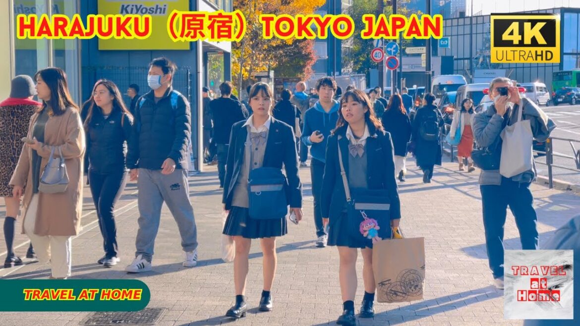 4k hdr japan travel | Walk in Harajuku（原宿）Tokyo japan |  Relaxing Natural City ambience