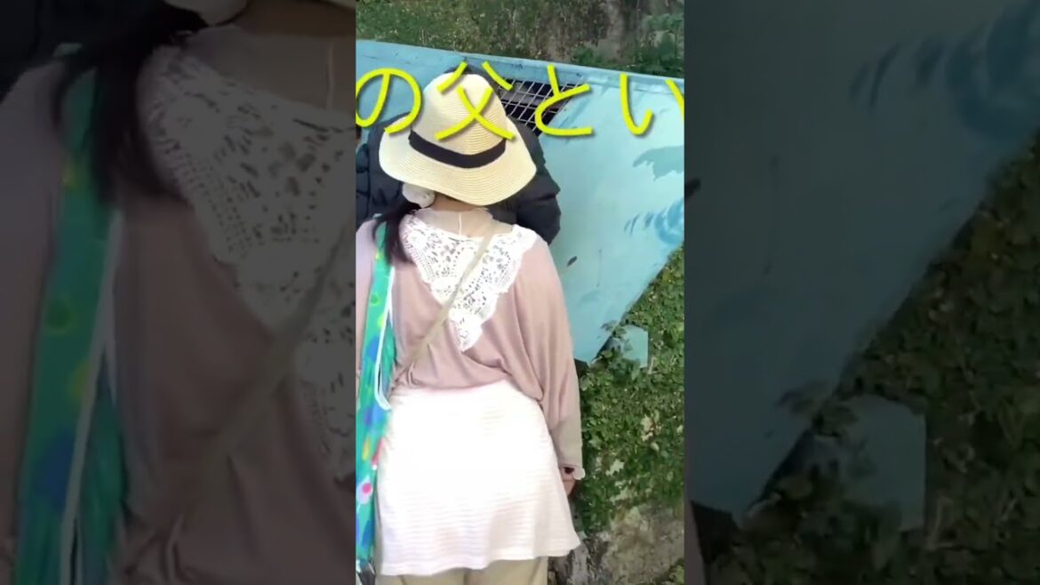 ショート① 戦後発展した那覇の中心市街地を巡る。(Tour the central city area of ​​Naha, which developed after the war.)