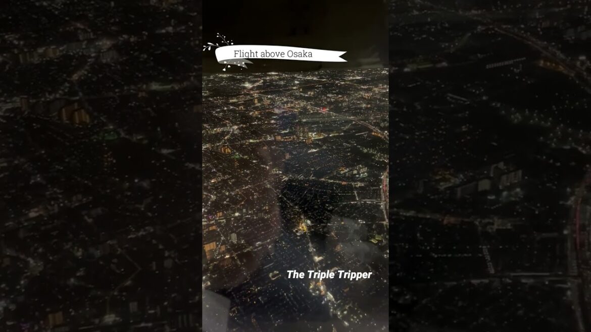 "Flight above Osaka"  Japan Trip-Log #shorts 6