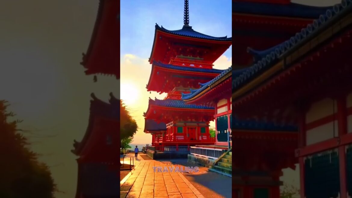 Places in Japan don't feel real📍🌎#travel #explore #adventure #placestovisit #japan #kyoto #pandora