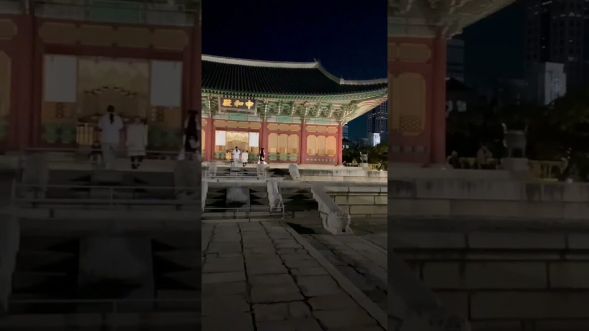 本当？大都会ソウル 真ん中#Shorts