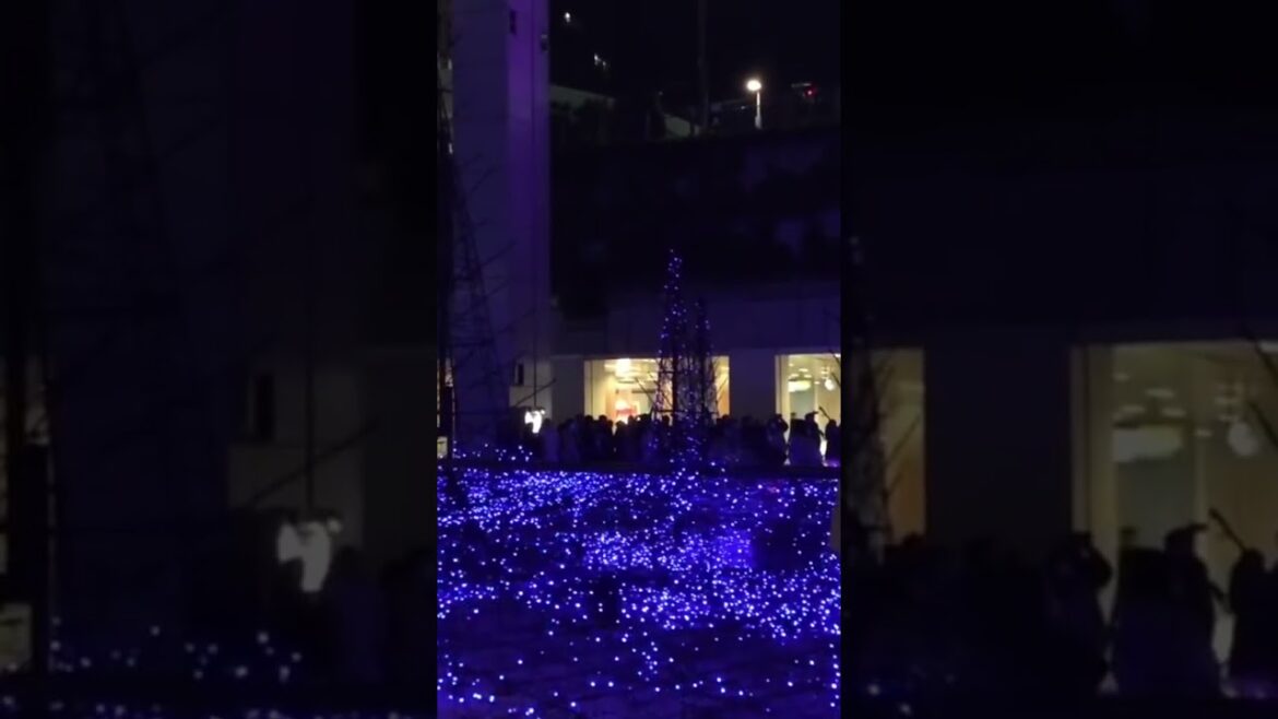 WINTER ILLUMINATIONS in TOKYO #tokyo #japan #japanese #illumination #winter