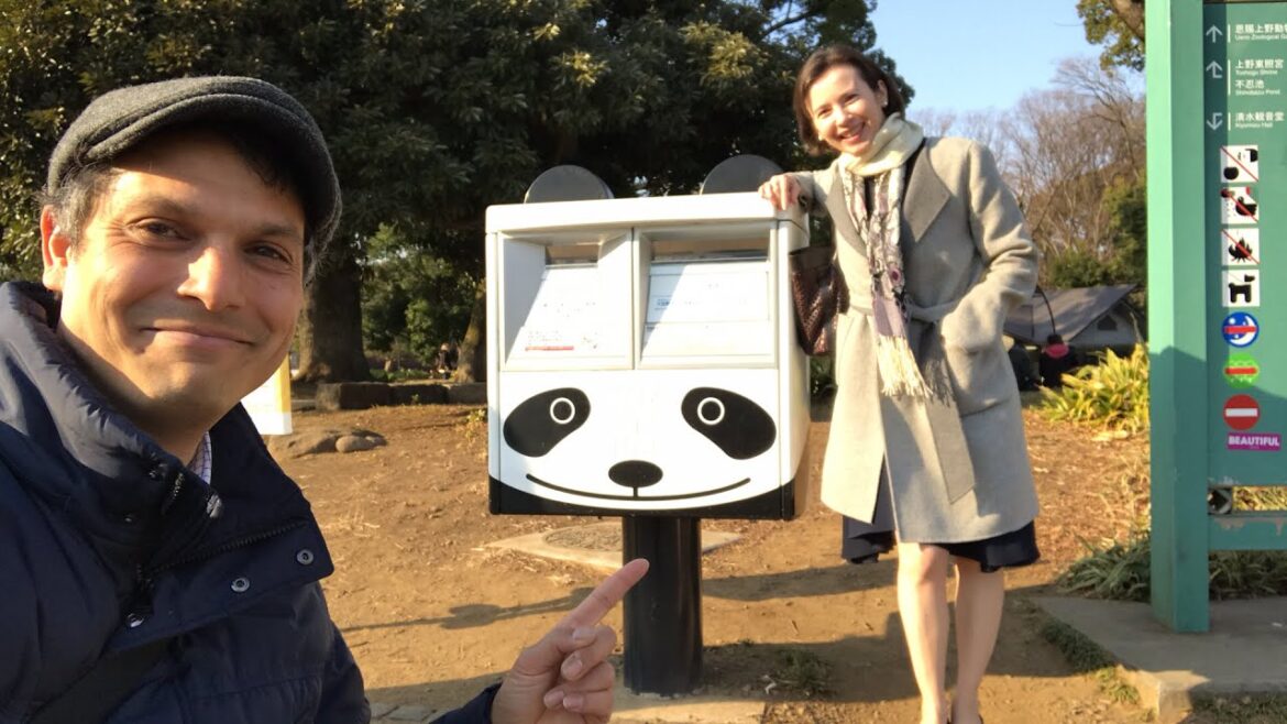 Tokyo’s Ueno Zoo w/ Pandas