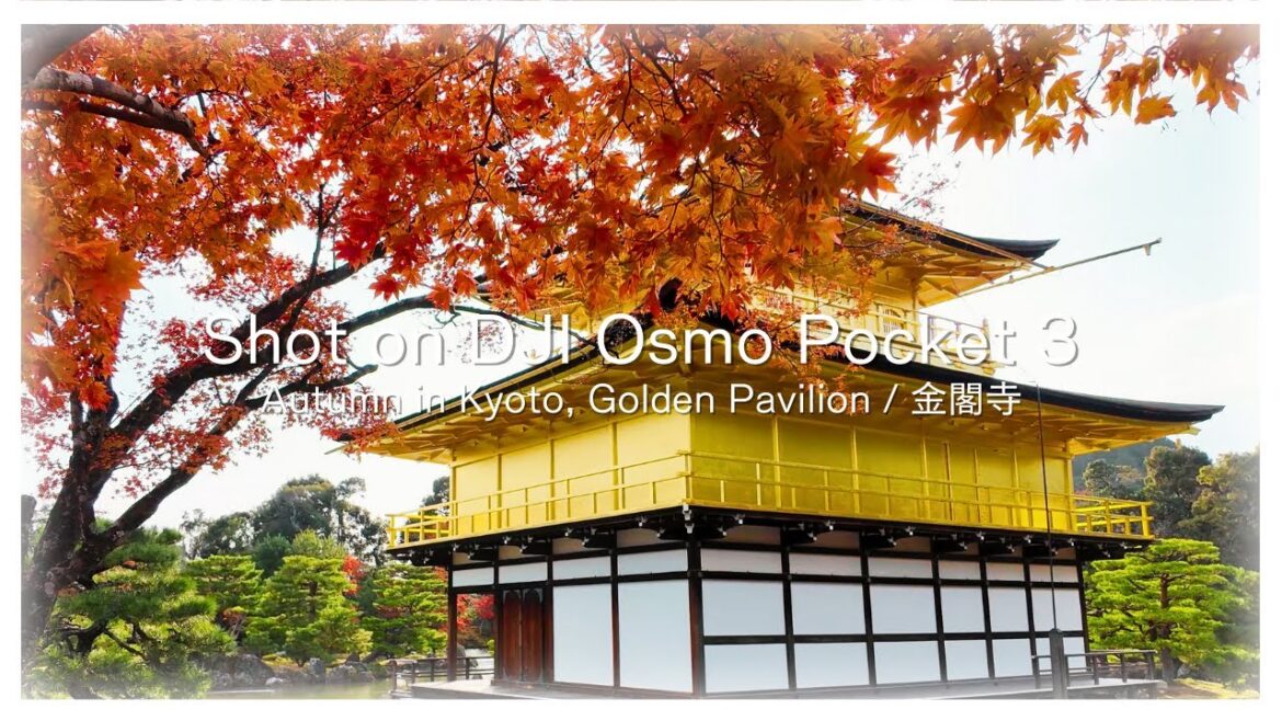 🇯🇵 Traveling in Kyoto with DJI Osmo Pocket 3 | #03 Kinkakuji Temple (The Golden Pavilion)
