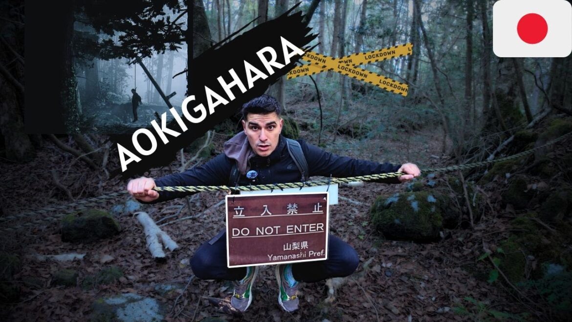 PADUREA AOKIGAHARA:LOCUL DIN JAPONIA UNDE OAMENII SE OMOARA SAPTAMANAL!am gasit un ghiozdan dubios PADUREA AOKIGAHARA:LOCUL DIN JAPONIA UNDE OAMENII SE OMOARA SAPTAMANAL!*am gasit un ghiozdan dubios*