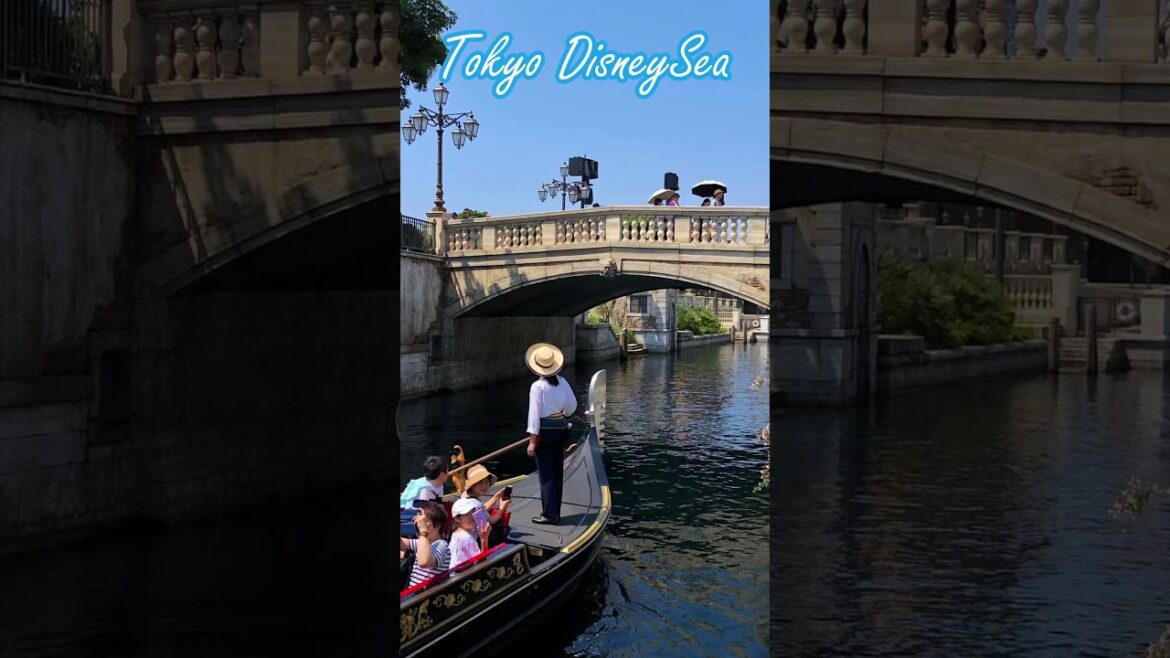 Tokyo DisneySea #shorts  #travel #asiancapital