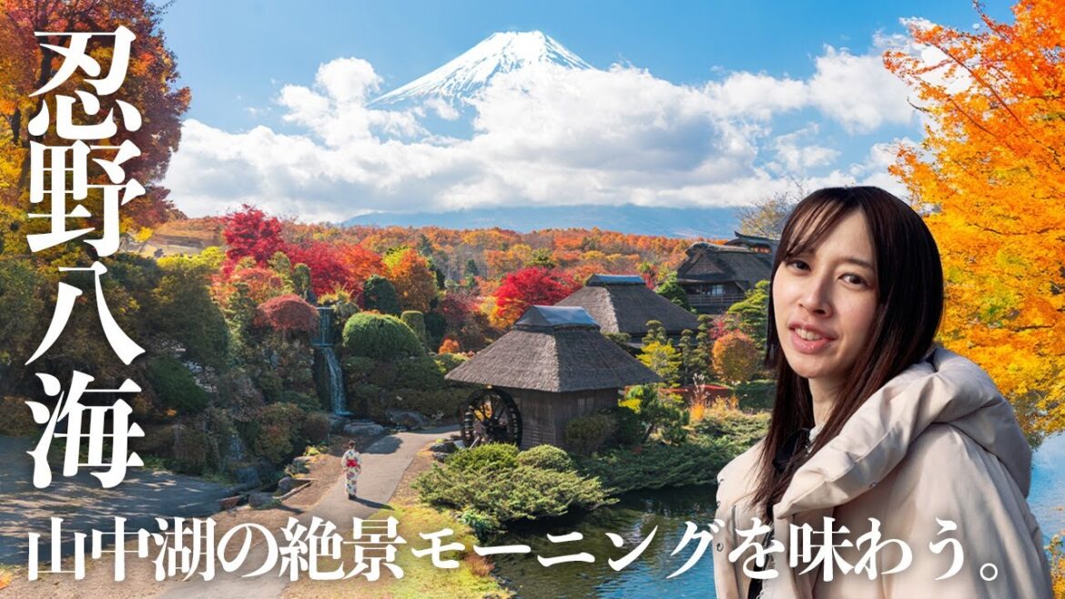 【忍野八海】ちょっと贅沢な朝食で山中湖を旅する✨観光もグルメも味わい尽くそう!1泊2日|Yamanashi of Mt.Fuji 【忍野八海】ちょっと贅沢な朝食で山中湖を旅する✨観光もグルメも味わい尽くそう!1泊2日|Yamanashi of Mt.Fuji