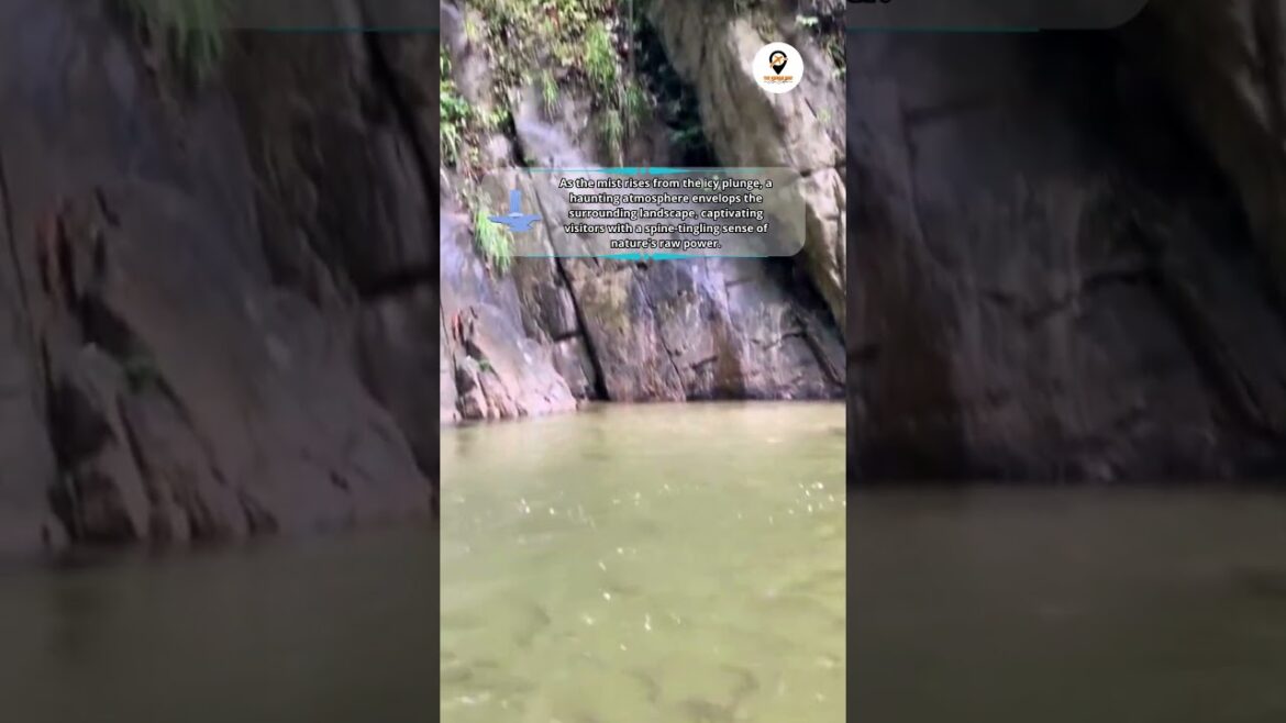 The Chilling Waterfall in Malaysia | The Nomad Way #shorts #asiatravel #destination The Chilling Waterfall in Malaysia | The Nomad Way #shorts #asiatravel #destination