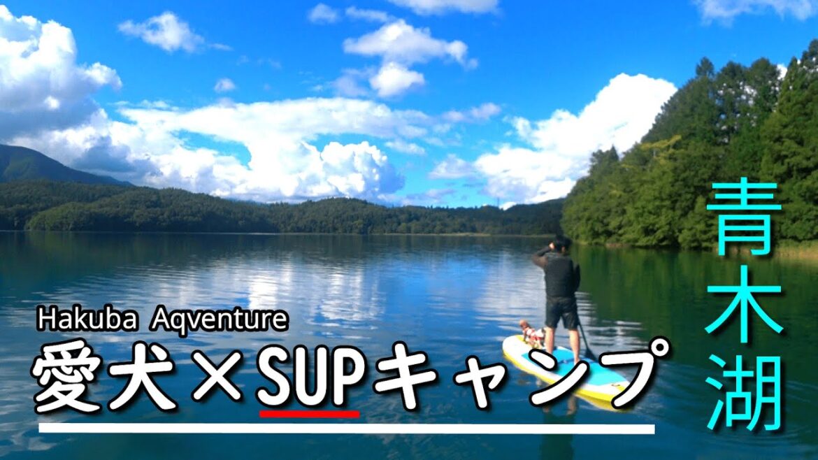 【キャンプ 】絶景!!青木湖で愛犬とSUP キャンプ｜白馬｜ 大向キャンプ場