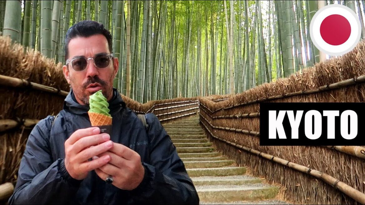 MON COUP DE COEUR À KYOTO ! 🇯🇵 (JAPON) #54 MON COUP DE COEUR À KYOTO ! 🇯🇵 (JAPON) #54