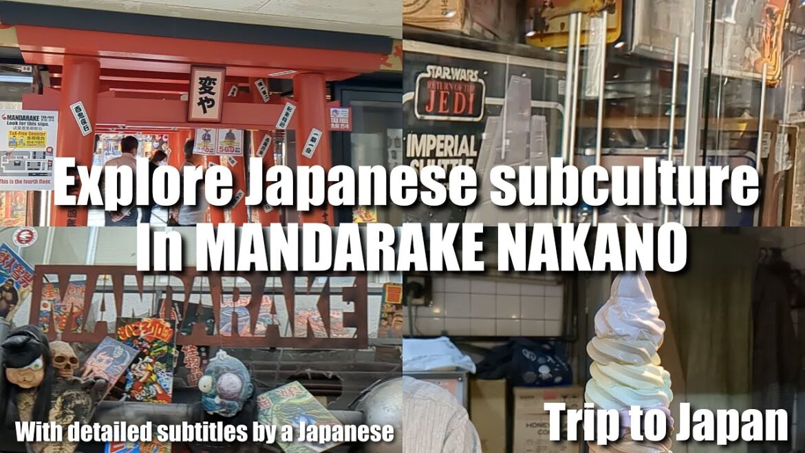 Guide to explore Nakano Mandarake Main Store, the birthplace of Japanese subculture Guide to explore Nakano Mandarake Main Store, the birthplace of Japanese subculture