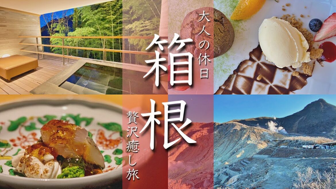 【箱根旅行vlog】観光グルメに高級温泉旅館宿泊の大満喫1泊2日でした! 大涌谷/ポーラ美術館/仙石原すすき/金乃竹塔ノ澤【Japan/Hakone/Onsen】 【箱根旅行vlog】観光グルメに高級温泉旅館宿泊の大満喫1泊2日でした! 大涌谷/ポーラ美術館/仙石原すすき/金乃竹塔ノ澤【Japan/Hakone/Onsen】