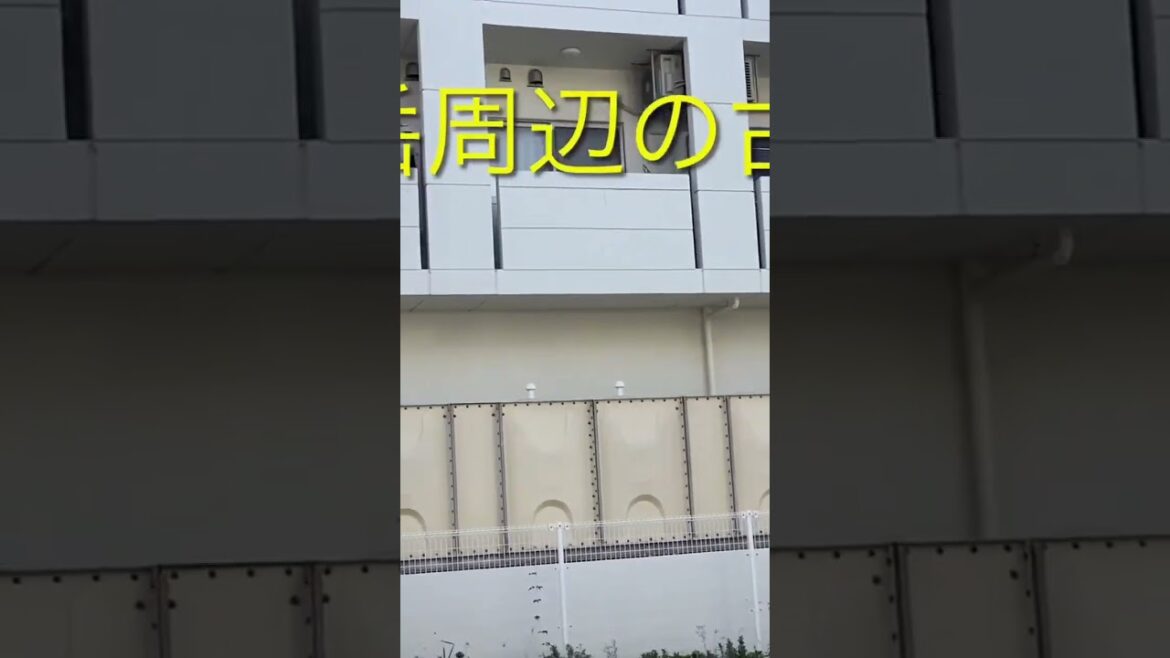 ショート②戦後発展した那覇の中心市街地を巡る。(Tour the central city area of ​​Naha, which developed after the war.)