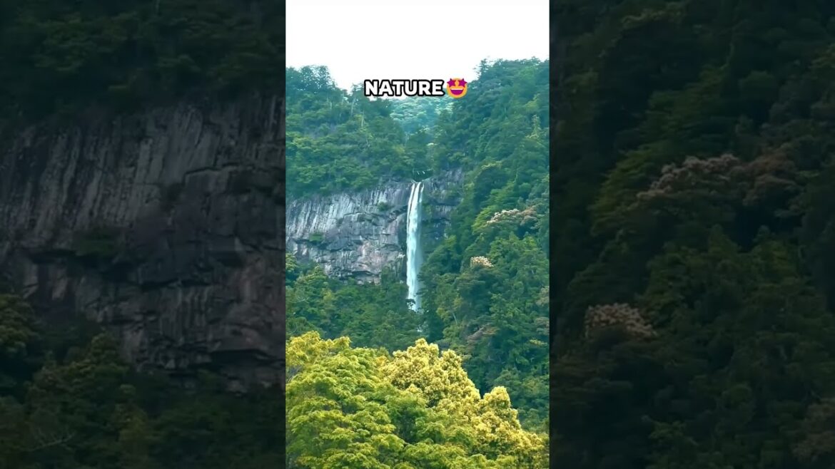 Tokyo is Fun, But Nature🤩🌿 #nature #explore #travel #adventure #trip #japan #tokyo #naturebeauty Tokyo is Fun, But Nature🤩🌿 #nature #explore #travel #adventure #trip #japan #tokyo #naturebeauty