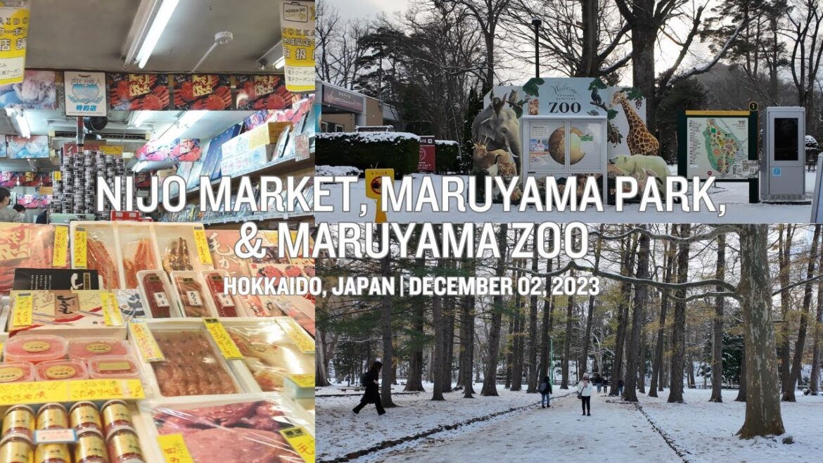 Nijo Market, Maruyama Park, & Maruyama Zoo | Hokkaido, Japan