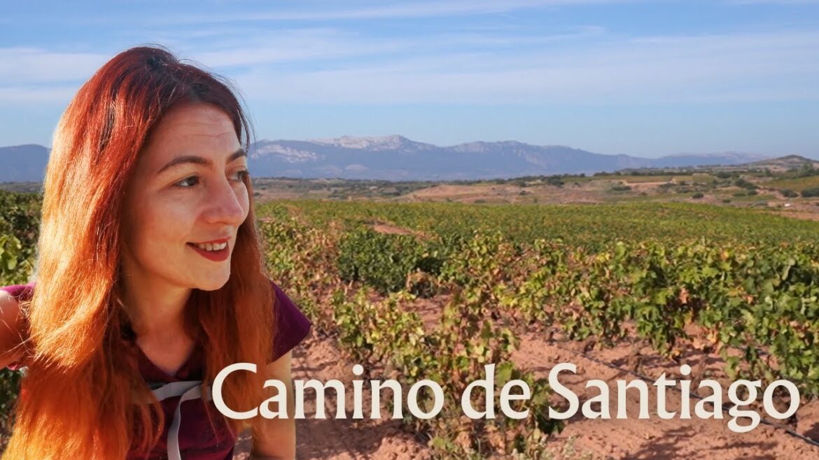 A Dramatic walk through the Vineyards! Day 8 | Logrono to Najera