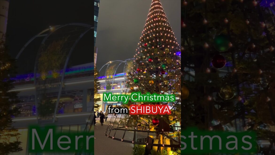 SHIBUYA - Christmas 2023🌟🎄 #Japan #shorts