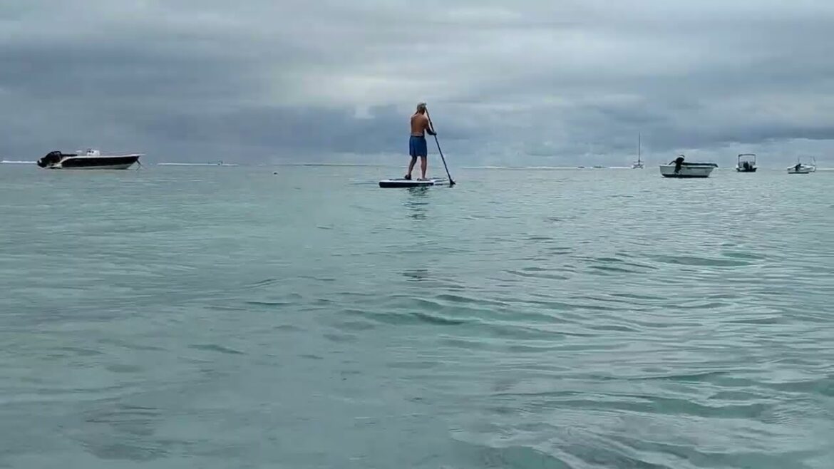 Stand up paddle | Sea Kayaking | Windsurfing | #video #utube #watersport #mauritius