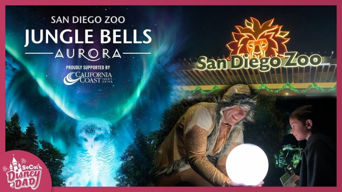 Enjoying Jungle Bells 2023 at the San Diego Zoo Enjoying Jungle Bells 2023 at the San Diego Zoo
