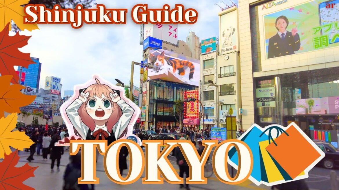 SHINJUKU TOKYO – walking tour and shopping in Shinjuku Tokyo – anime and desserts SHINJUKU TOKYO - *walking tour* and shopping in Shinjuku Tokyo - anime and desserts