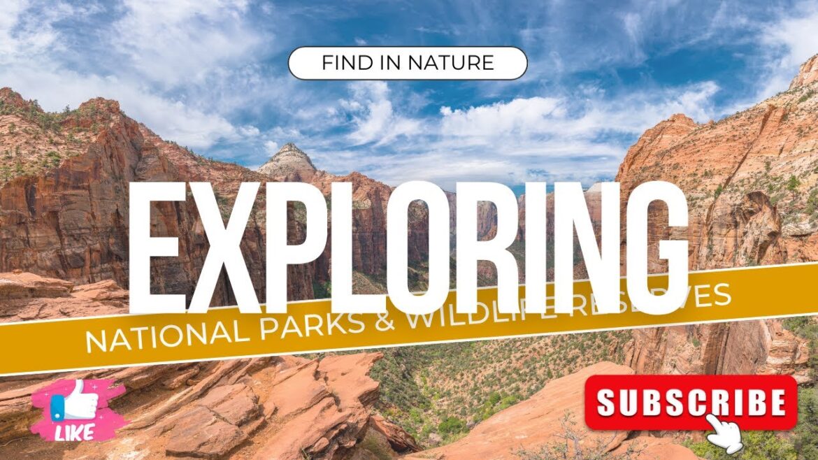 The Ultimate Travel Packing Guide: Unlock Adventure Today!