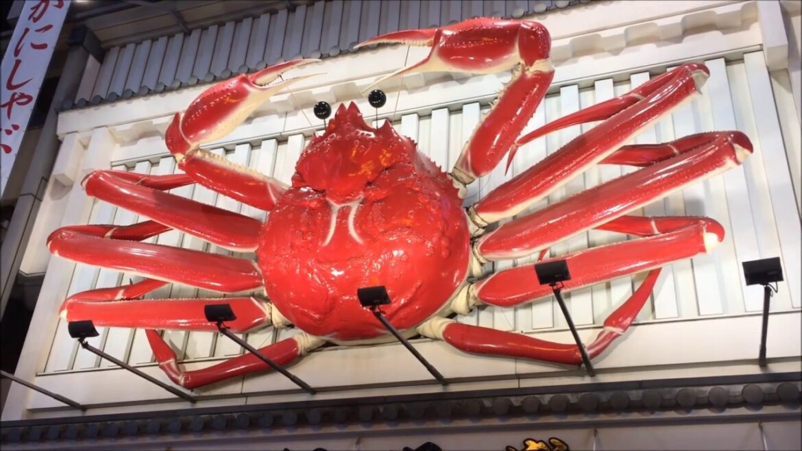 Osaka Japan Street Food