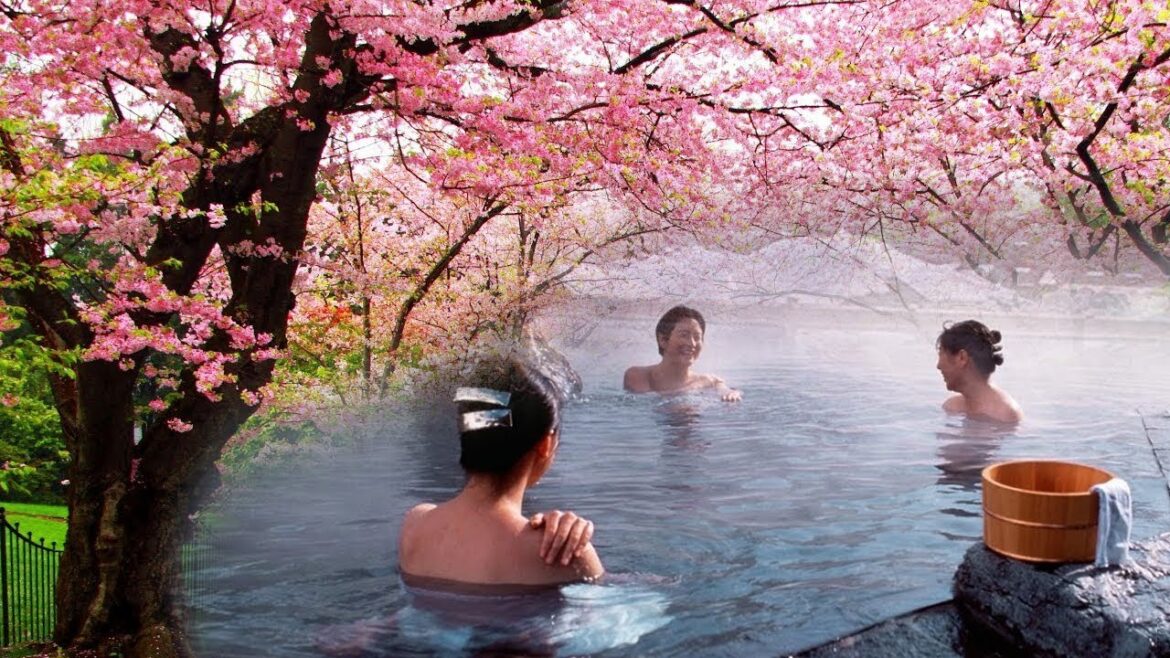 又到櫻花盛開！日本伊豆受追捧，溫泉卻更讓遊客驚喜