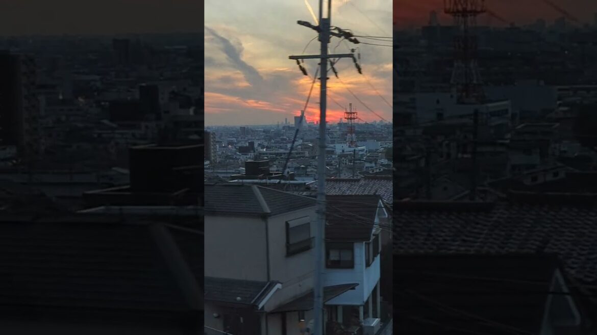 View of Osaka during sunset Aesthetic #travel #cyberpunk #japan View of Osaka during sunset Aesthetic #travel #cyberpunk #japan
