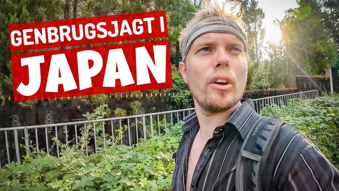 Finder Sjældent Pokemon Gameboy Spil I Japan!