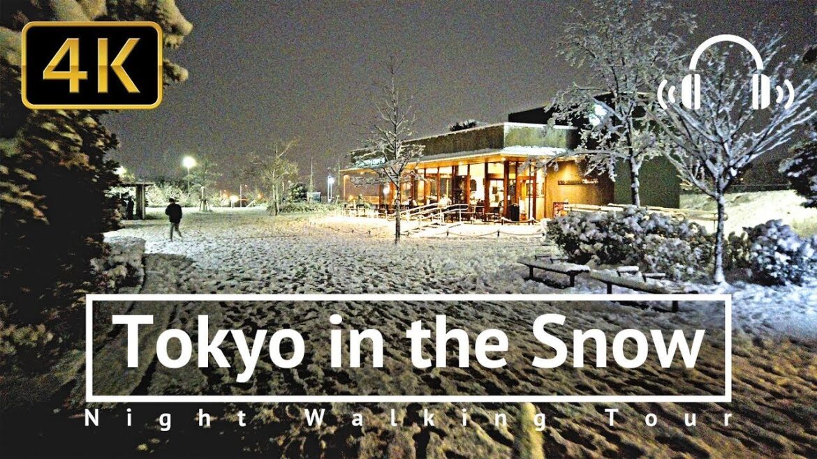 Tokyo Snowy Night Walk #relaxingmusic  night walk in #snowyindonesia  village of #Niseko, Hokkaido