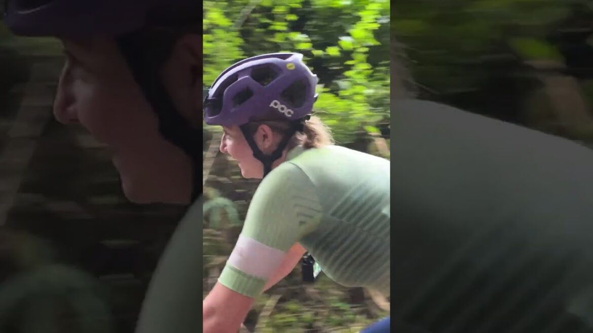 We biked from Kanazawa (金沢) to Matsumoto (松本) 🚲 one week of Japan cycling, touring Ishikawa & Nagano We biked from Kanazawa (金沢) to Matsumoto (松本) 🚲 one week of Japan cycling, touring Ishikawa & Nagano