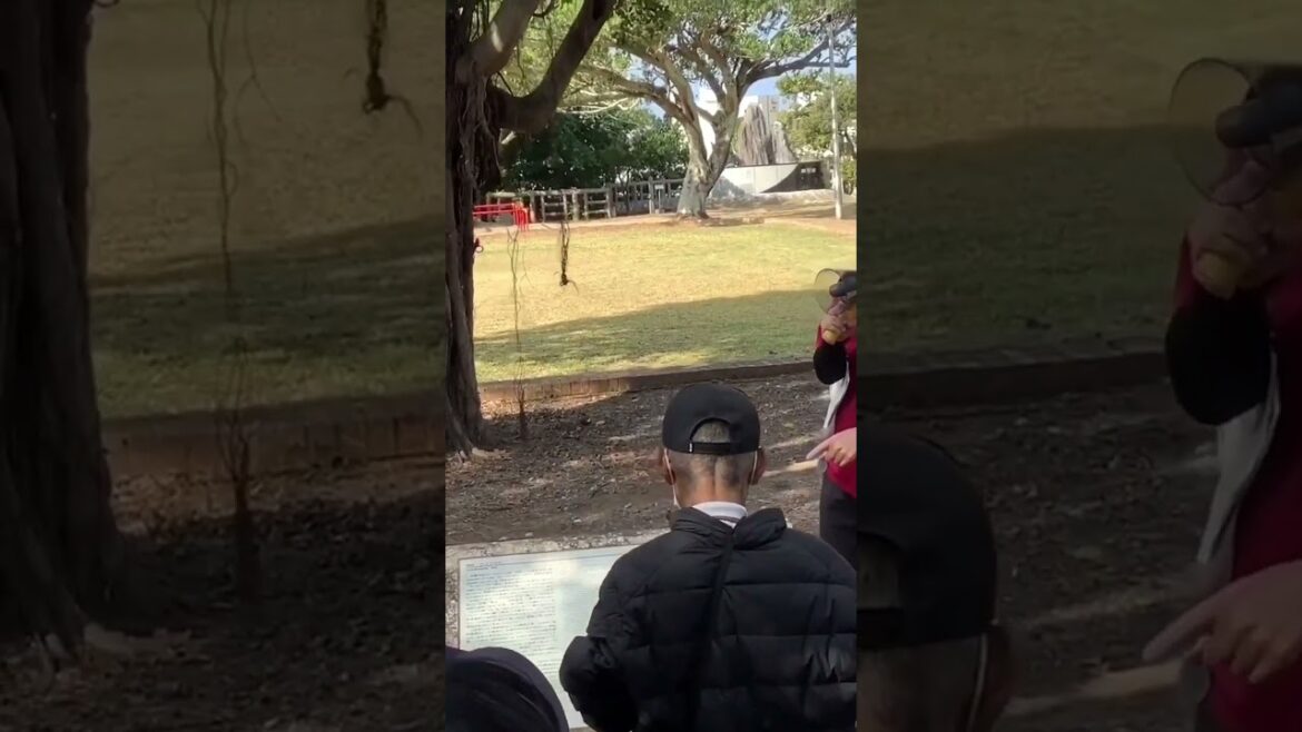 ショート③戦後発展した那覇の中心市街地を巡る。(Tour the central city area of ​​Naha, which developed after the war.)