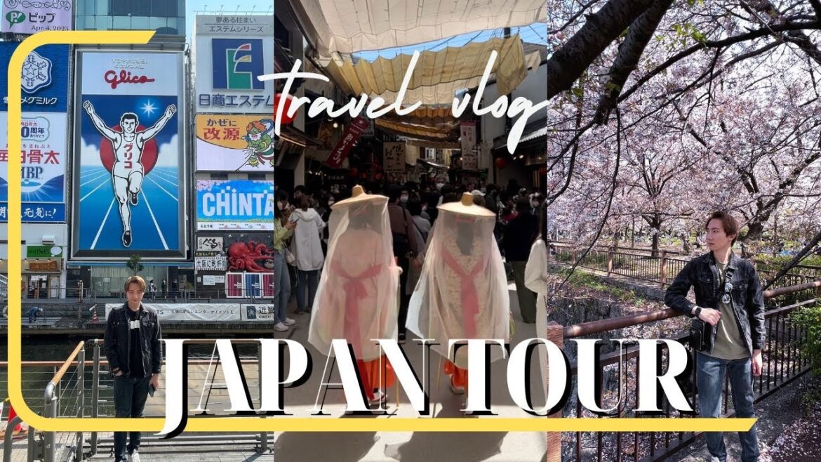 Japan Travel Vlog: HAKONE, OSAKA, HIROSHIMA, MIYAJIMA, TAKAYAMA, SHIRAKAWA-GO and NAGOYA 2023 Japan Travel Vlog: HAKONE, OSAKA, HIROSHIMA, MIYAJIMA, TAKAYAMA, SHIRAKAWA-GO and NAGOYA 2023