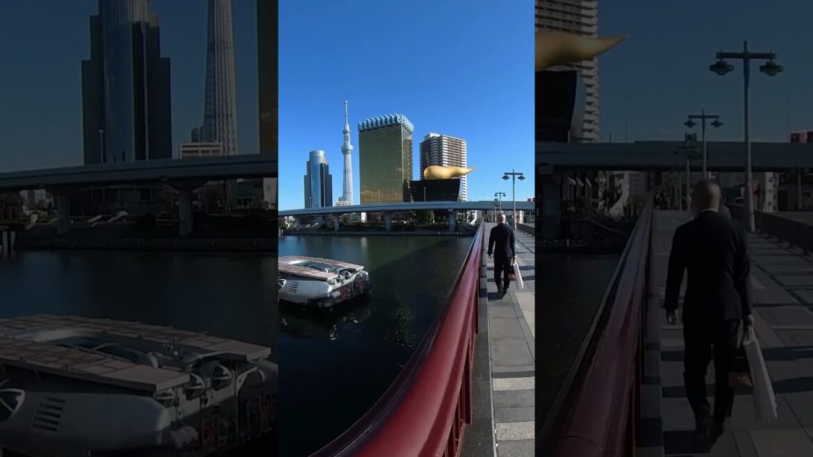 Asakusa, Tokyo in #VR360 on #DokodemoDoor  #VR_Trip #travel #Shorts