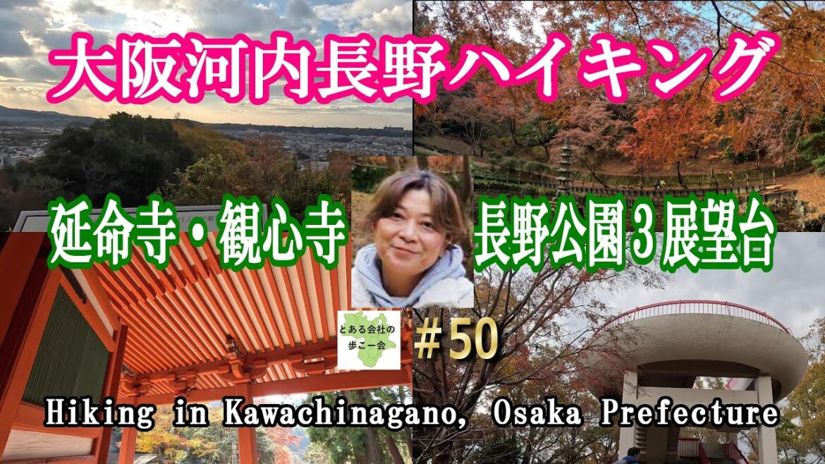 大阪河内長野ハイキング【とある会社の歩こー会】#50 2023.12 Osaka Kawachinagano hiking in Japan. 大阪河内長野ハイキング【とある会社の歩こー会】#50 2023.12 Osaka Kawachinagano hiking in Japan.