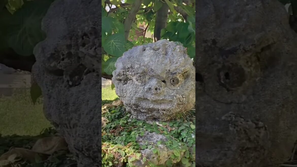 ショート⑨戦後発展した那覇の中心市街地を巡る。(Tour the central city area of ​​Naha, which developed after the war.)