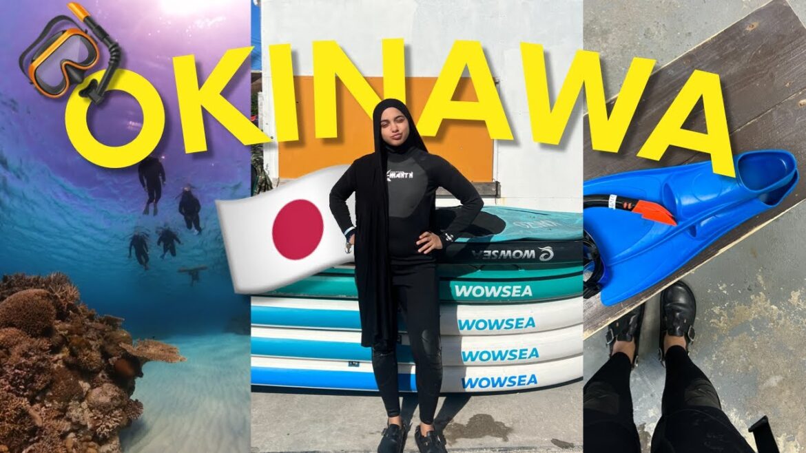 Okinawa, le Hawaï du Japon VLOG 🇯🇵🏝️ (pt. 2) Okinawa, le Hawaï du Japon VLOG 🇯🇵🏝️ (pt. 2)