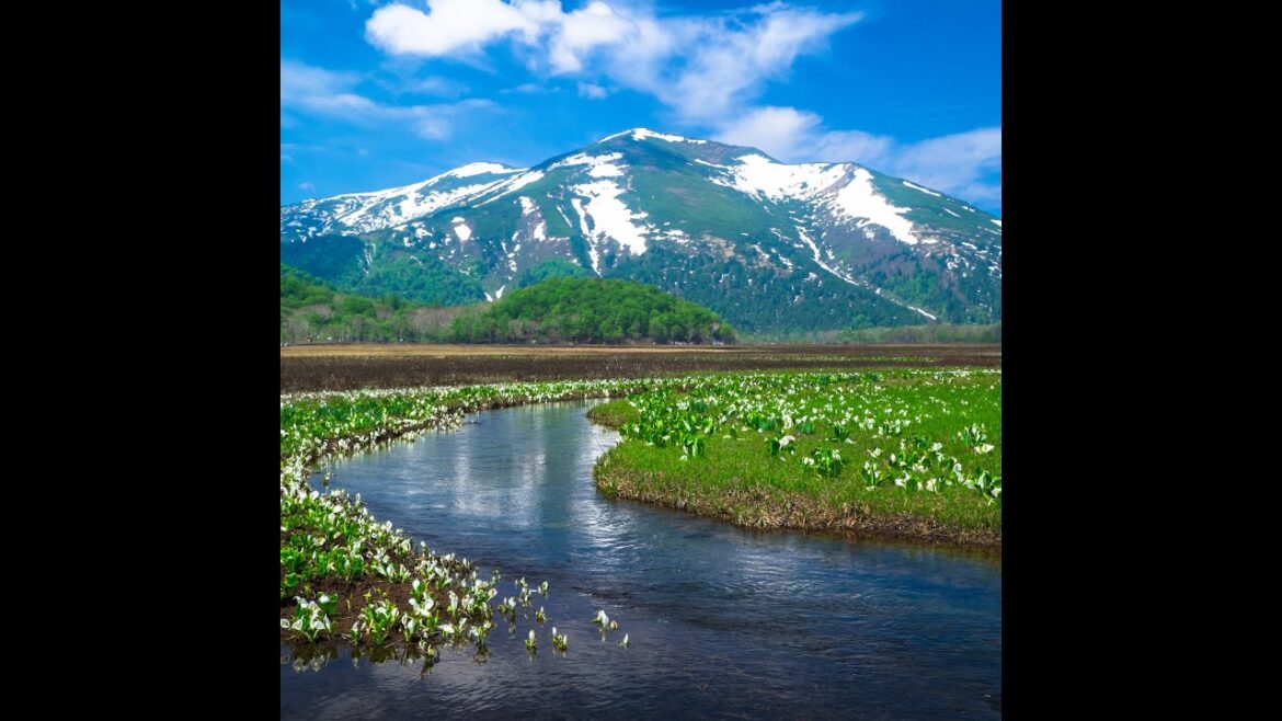 Oze: A Pristine Paradise of Alpine Marshes and Serene Trails Oze: A Pristine Paradise of Alpine Marshes and Serene Trails
