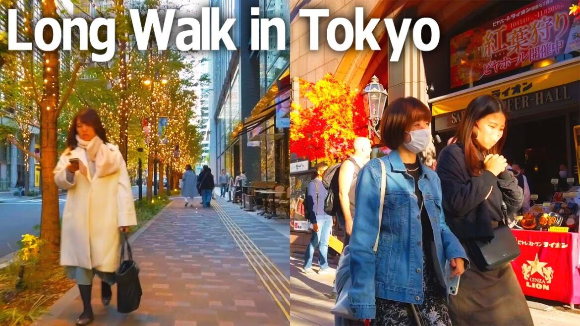 Tokyo walking tour - Ginza, Marunouchi, and Hibiya. Scenery around Tokyo Sta.♪ (Nov. 2023)