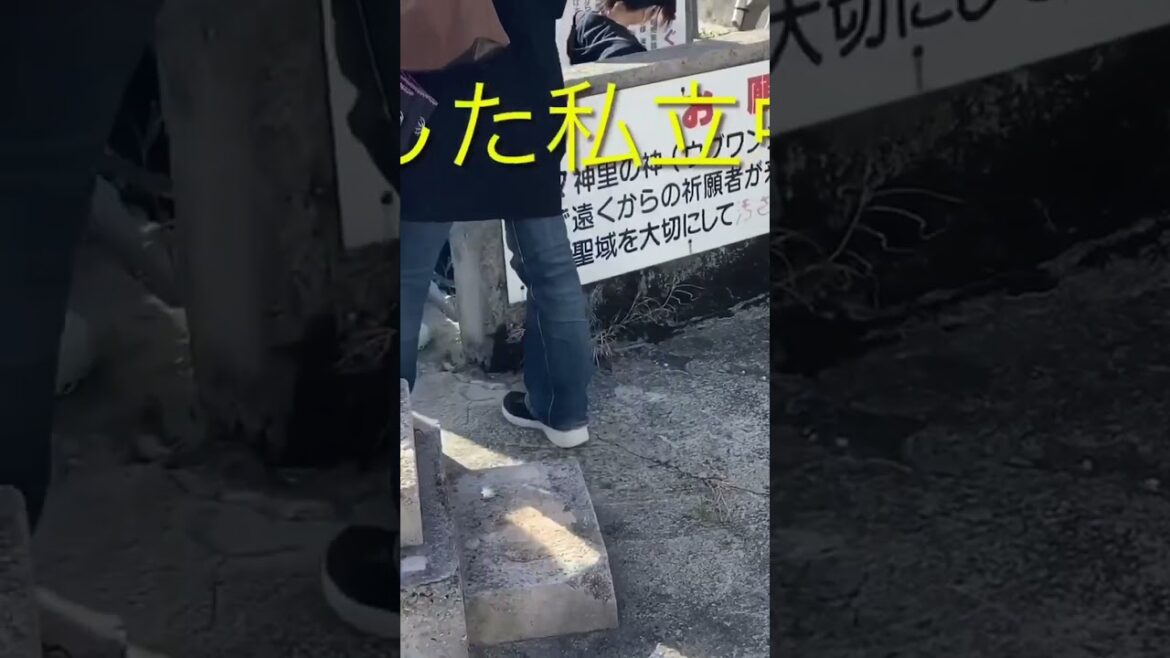 ショート⑤戦後発展した那覇の中心市街地を巡る。(Tour the central city area of ​​Naha, which developed after the war.)