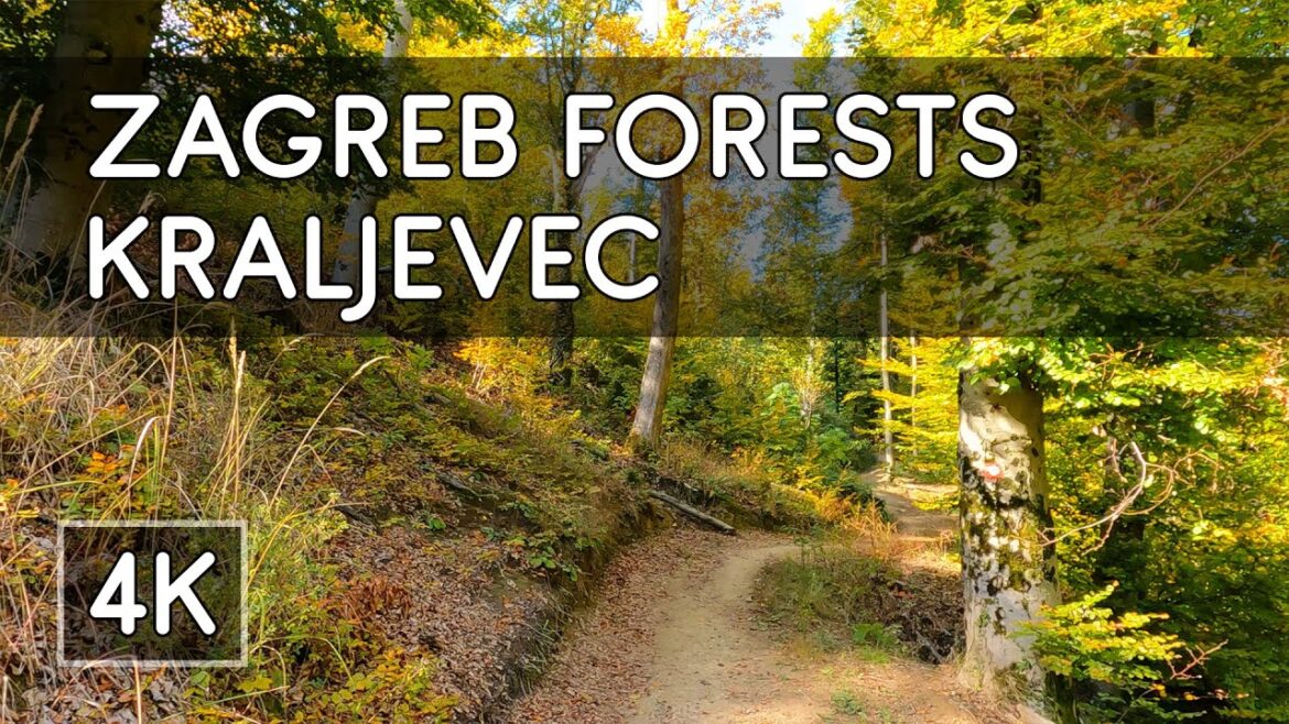 Walking Tour: Zagreb Forests (Pt. 2): Kraljevec – Zagreb, Croatia – 4K UHD Virtual Travel Walking Tour: Zagreb Forests (Pt. 2): Kraljevec - Zagreb, Croatia - 4K UHD Virtual Travel